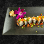 Best Under the Sea in Orlando, FL